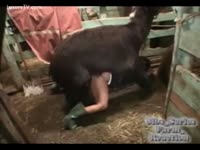 Zoo Porn - Pig copulates her a lot